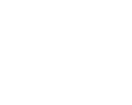 Pelican logo working with video production company WeMOV